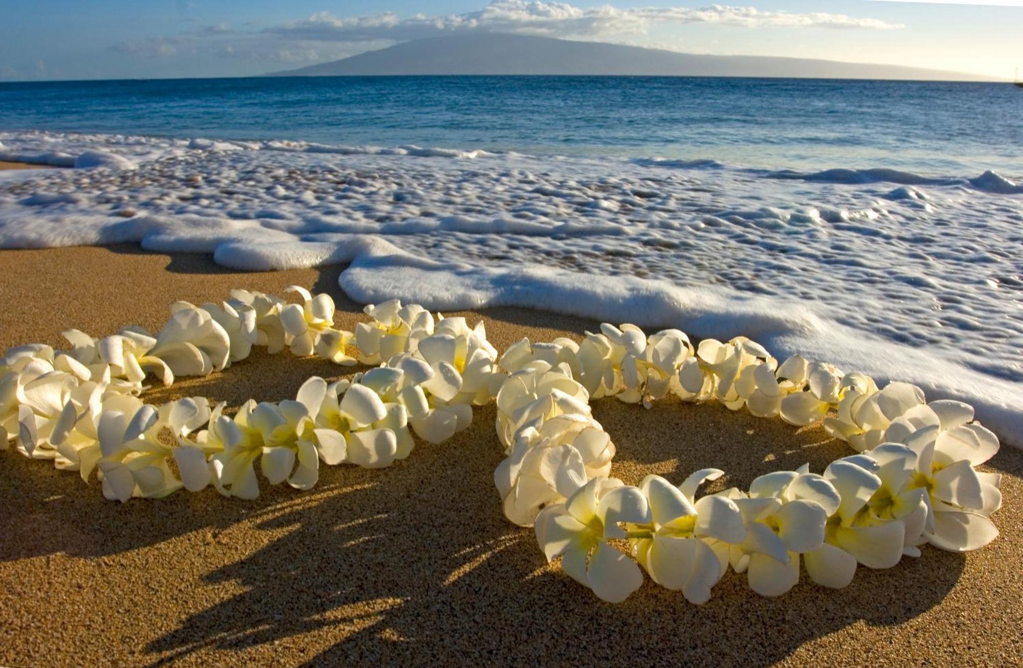 Great Ocean View Condo, Near Beach With Free Parking! Honolulu Luaran gambar